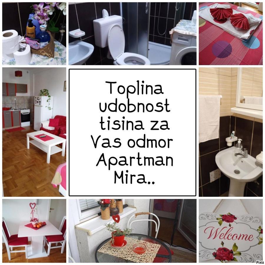 Apartman Mira Požarevac Exteriör bild