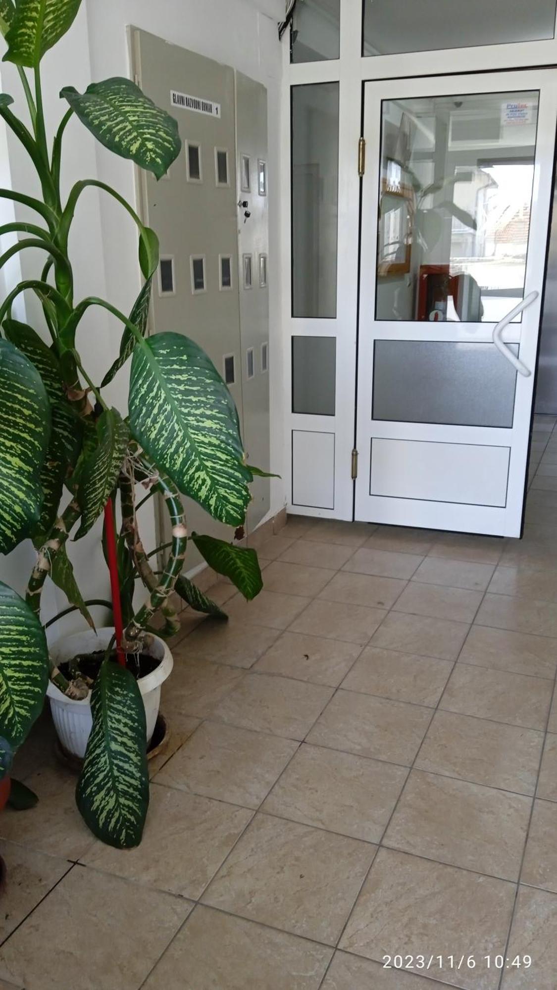 Apartman Mira Požarevac Exteriör bild