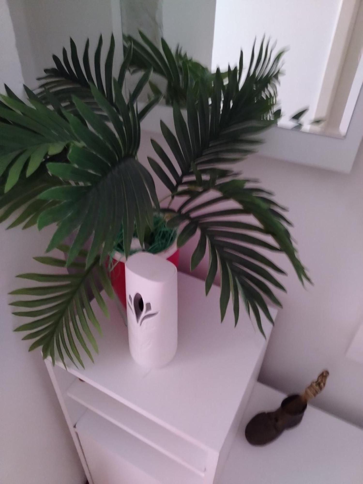 Apartman Mira Požarevac Exteriör bild
